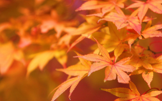 468742 (a): :1920x1200
